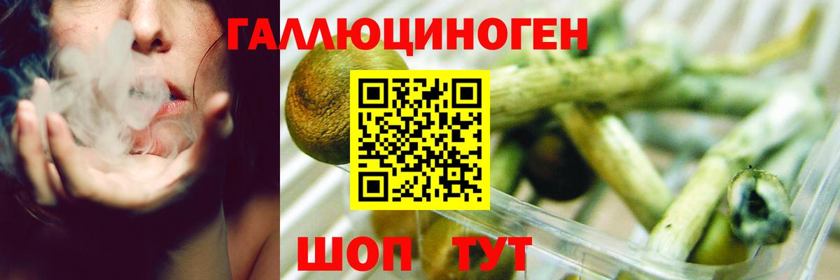 Псилоцибиновые грибы Psilocybine cubensis Ижевск